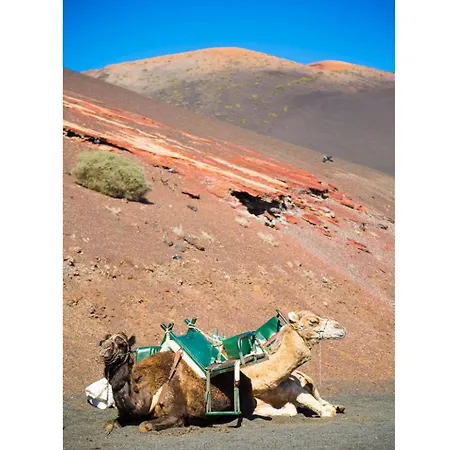 Ramos Uno וילה *